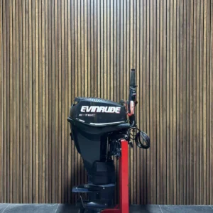 2010 Evinrude E-TEC 25 HP EFI outboard engine